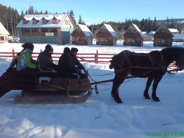 Winter activities — fotografia 1