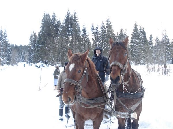 Winter activities — fotografia 3