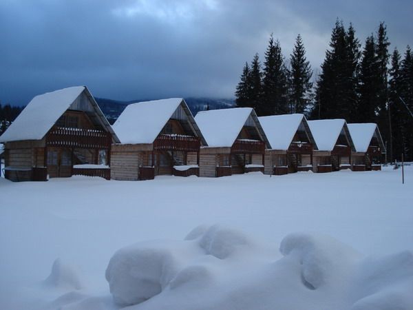 Winter activities — fotografia 4