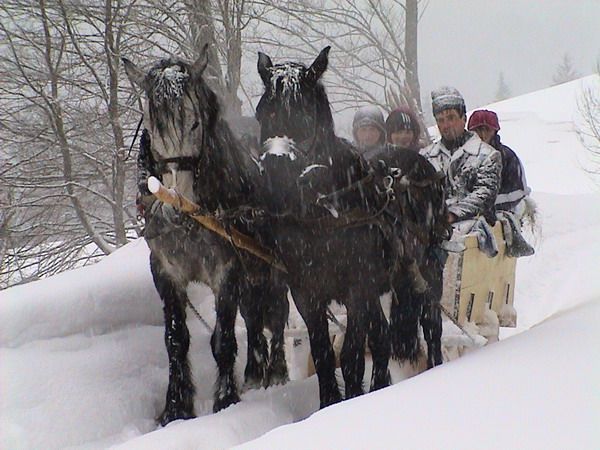 Winter activities — fotografia 12