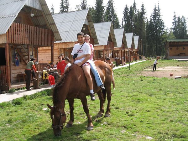 Horseback riding — fotografia 1