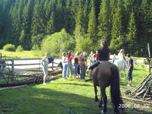 Horseback riding — fotografia 2