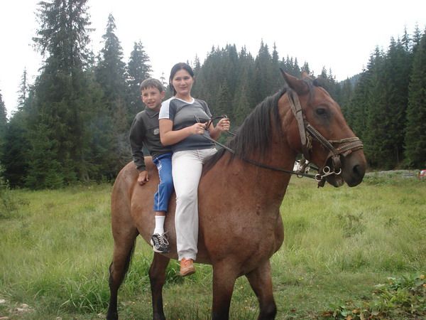 Horseback riding — fotografia 4