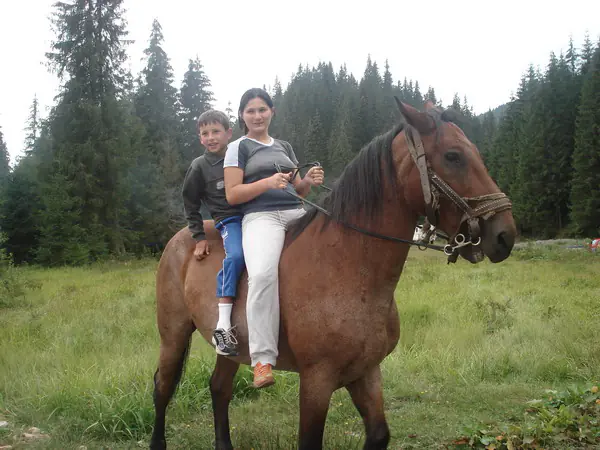 Woman and boy sitting together on a brown horse in a meadow by the forest