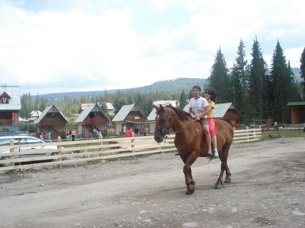 Horseback riding — fotografia 5