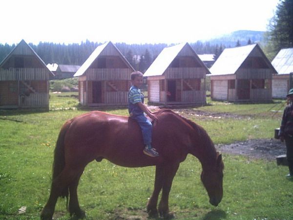Horseback riding — fotografia 6