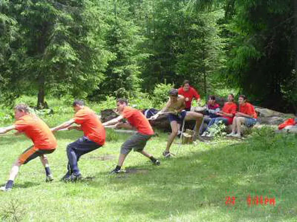Tug-of-war match on the grass at the edge of the fir forest