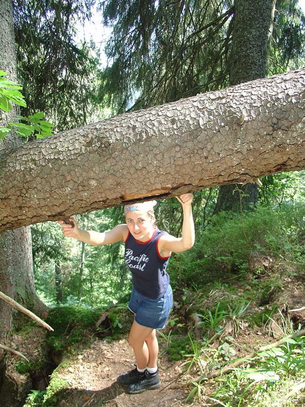 Hiking — fotografia 6