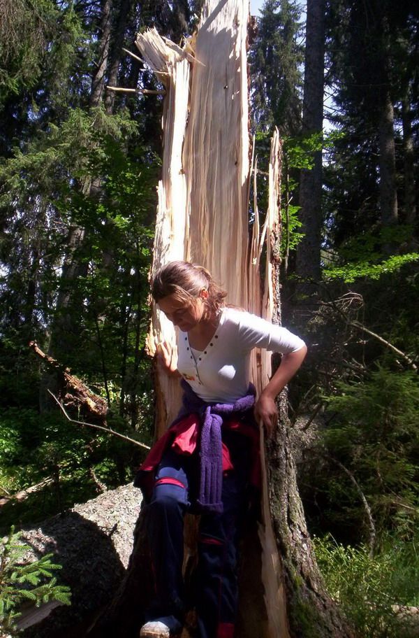 Hiking — fotografia 10