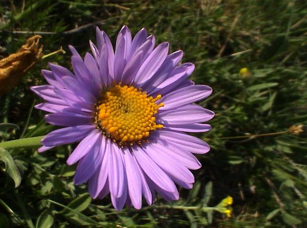Apuseni scenery — fotografia 5
