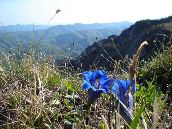 Apuseni scenery — fotografia 9