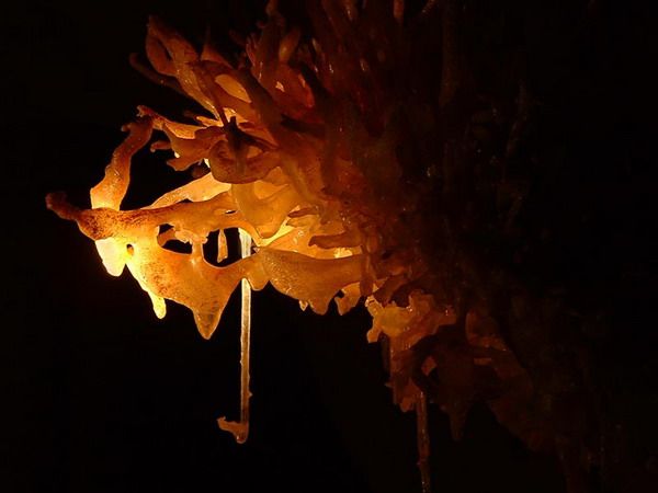 Caves — fotografia 3