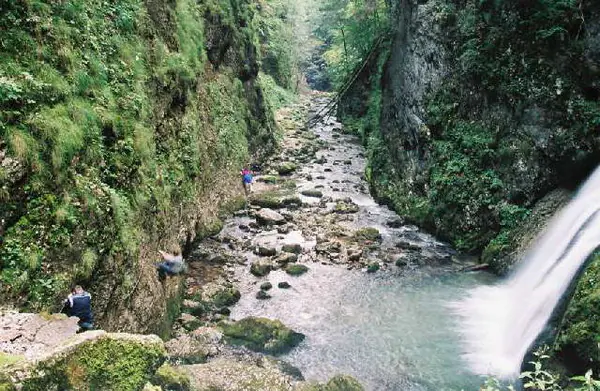 Waterfall flowing into the rocky, moss-covered gorge of Cetățile Ponorului