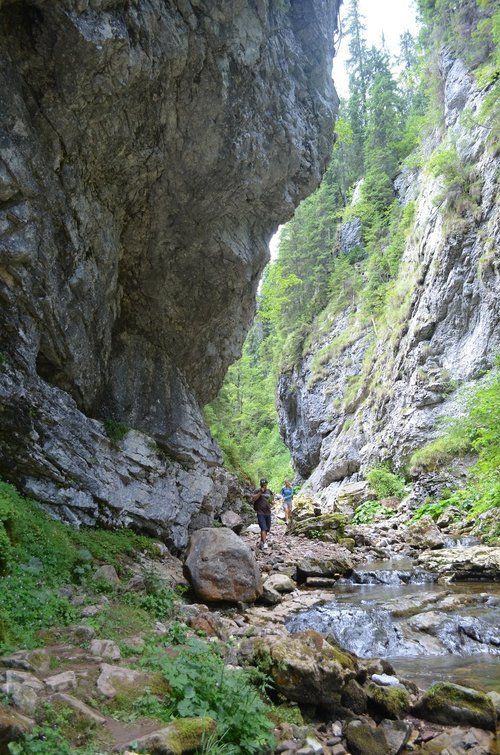 Someșul Cald Gorge