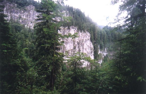 Cheile Someșului Cald — fotografia 4