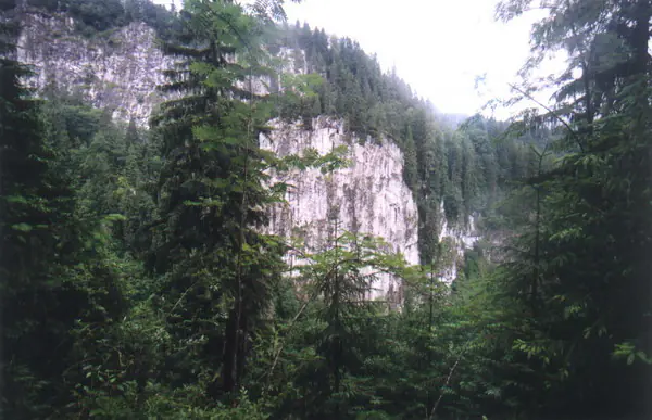 White limestone cliffs rising above the fir forest in Someșul Cald Gorge