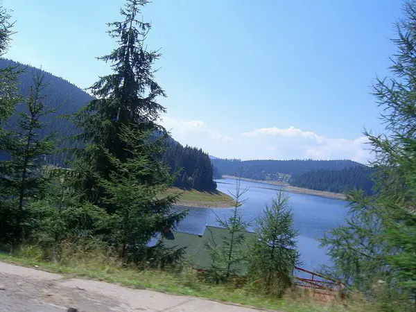 Lake Beliș–Fântânele seen between fir trees on a sunny day