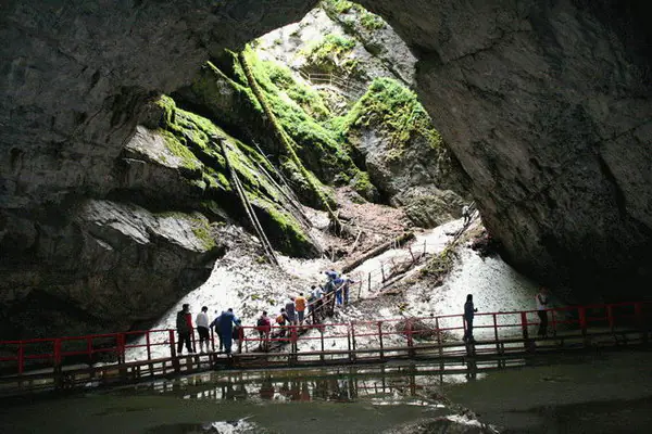 Visitors on the wooden walkway below the mossy entrance shaft of Scărișoara Ice Cave