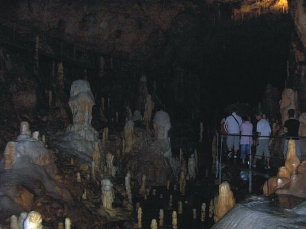 Peștera Ursilor — fotografia 3