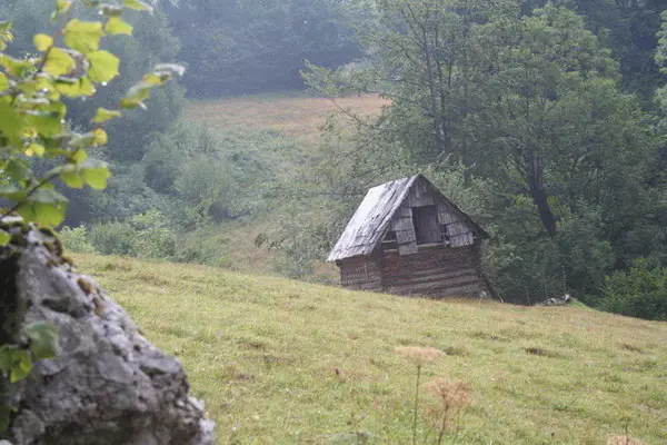Old wooden hut on a grassy slope at the edge of the forest in Poiana Florilor