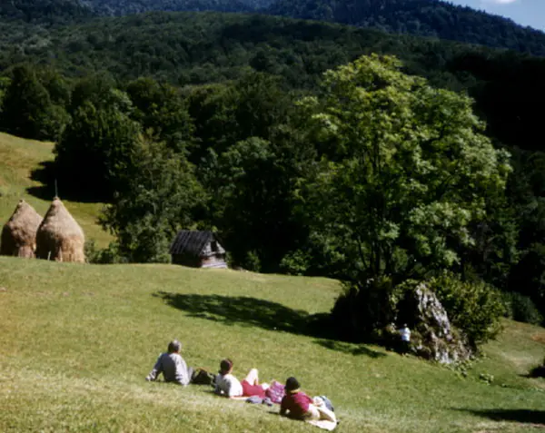 Hikers resting on the grass of a sunny mountain meadow with haystacks